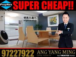 Blk 290B Bukit Batok Street 24 (Bukit Batok), HDB Executive #171231432